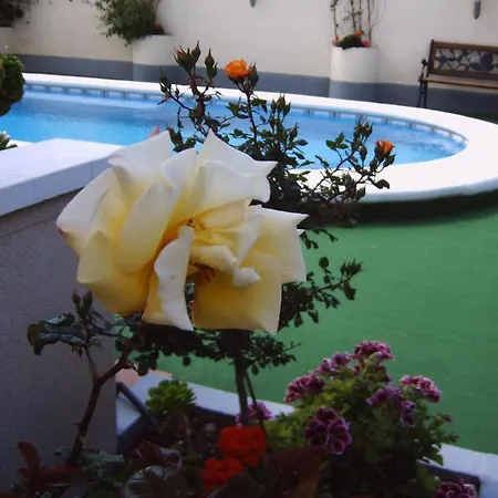 Apartamento Nordico 7 Torrevieja